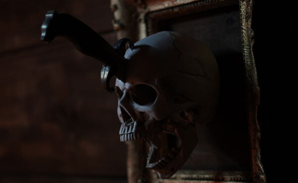LA CRIQUE DES PIRATES